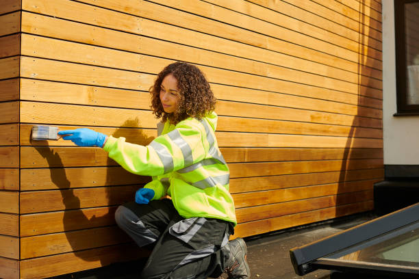 Best Weatherproofing and Sealing  in Virden, IL