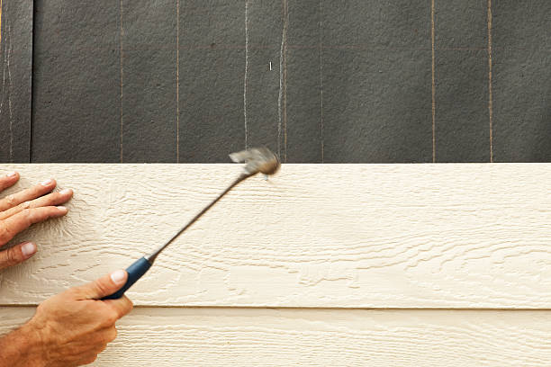 Best Vinyl Siding Installation  in Virden, IL